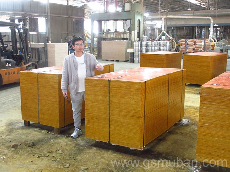 2023年建筑模板價格趨勢如何？盤點五個影響因素