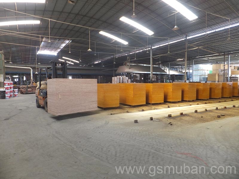 新型塑面建筑模板的價格多少?質量如何?