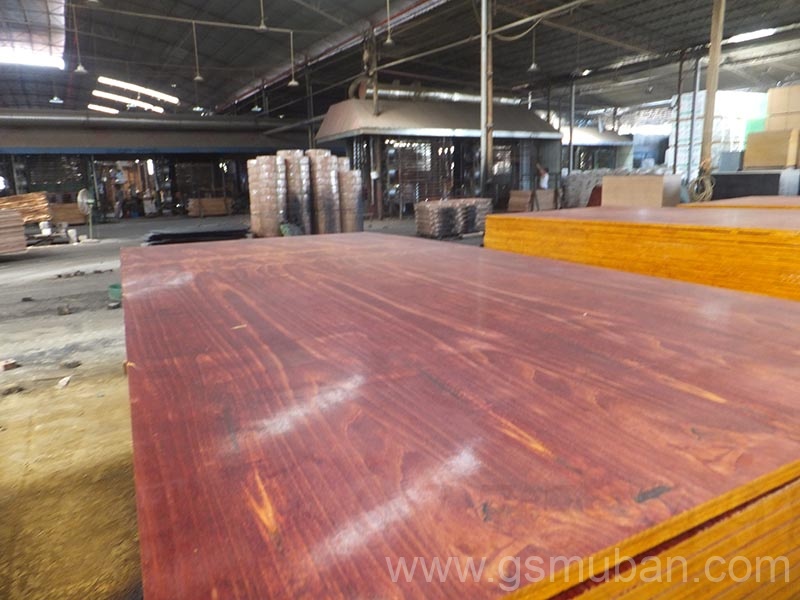 什么是桉木模板？廣西模板廠家推薦